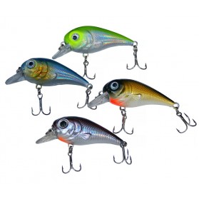 Creme Crank Bait Kit