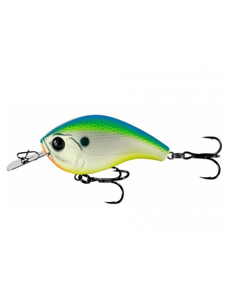 Rusty Bream Rusty Bream