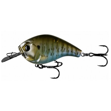 Rusty Bream Rusty Bream