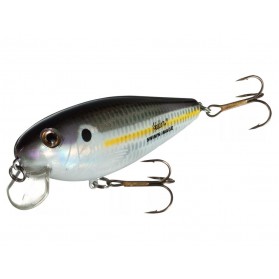 Tennessee Shad