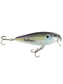 Tennessee Shad