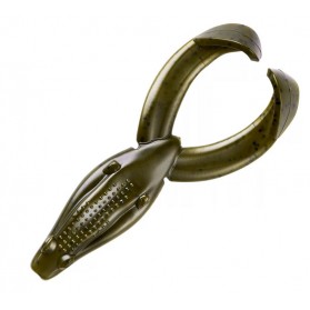 Rana YUM Tip Toad Frog PAQx5