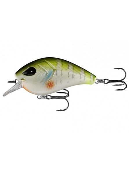 Rusty Bream Rusty Bream