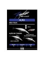 Señuelo Marine Sports Raptor Shad