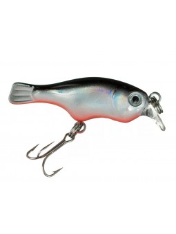 Bass Pro Shops XTS Mini...