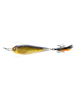 LiveTarget Flutter Shad...