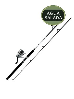 Combo Daiwa D-Wave Saltwater Spinning 1 Balinera