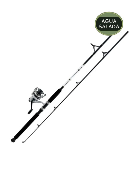 Combo Daiwa D-Wave Saltwater Spinning 1 Balinera