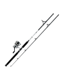 Combo Daiwa D-Wave Saltwater Spinning 1 Balinera