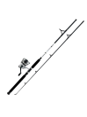 Combo Daiwa D-Wave Saltwater Spinning 1 Balinera