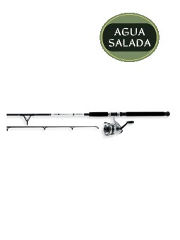 Combo Daiwa D-Wave Saltwater Spinning 1 Balinera