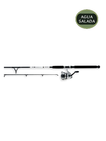 Combo Daiwa D-Wave Saltwater Spinning 1 Balinera