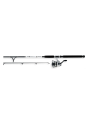 Combo Daiwa D-Wave Saltwater Spinning 1 Balinera