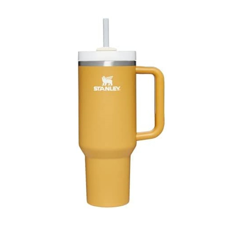 Stanley The Everyday GO Tumbler 290 mL, Shale, thermos