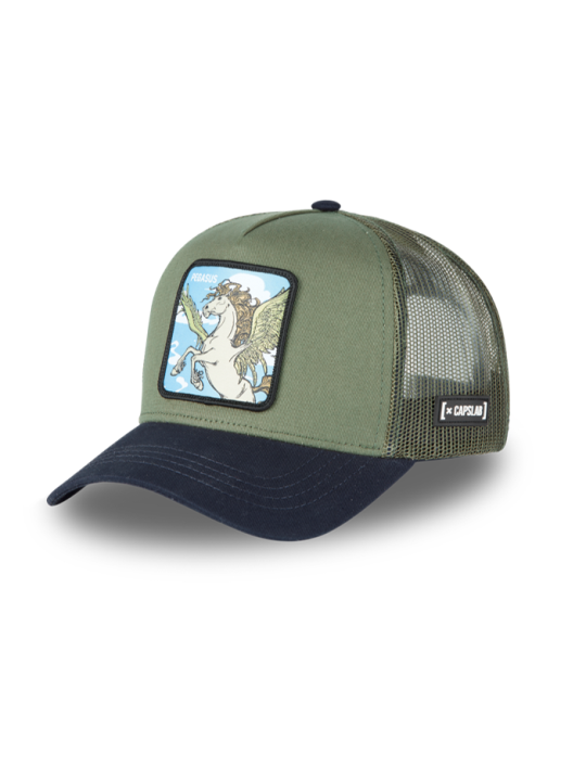 Gorra Malla Capslab Fantastic Beasts Pegasus