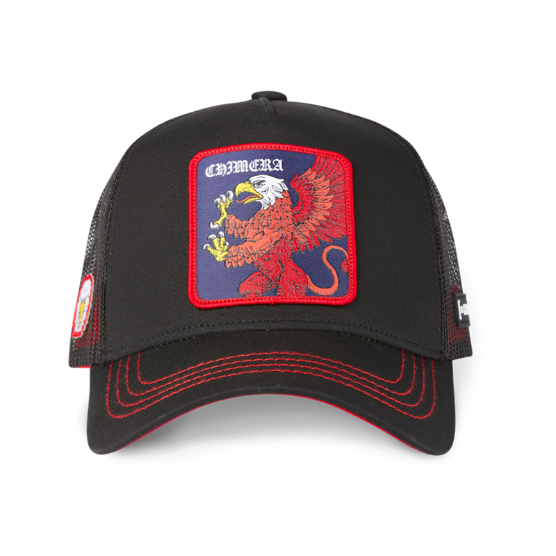 Gorra Malla Capslab Fantastic Beasts Eagle