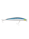 Blue Mackerel