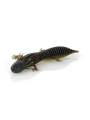 Salamandra Savage Gear Duratech NED PAQx5