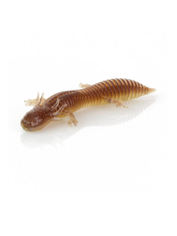 Salamandra Savage Gear Duratech NED PAQx5