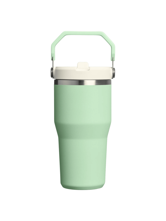 Termo Stanley IceFlow Flip Straw Tumbler 2.0