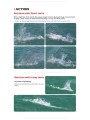 Noeby NBL9741CA Explosion Fishbone Popper Noeby NBL9741CA Explosion Fishbone Popper