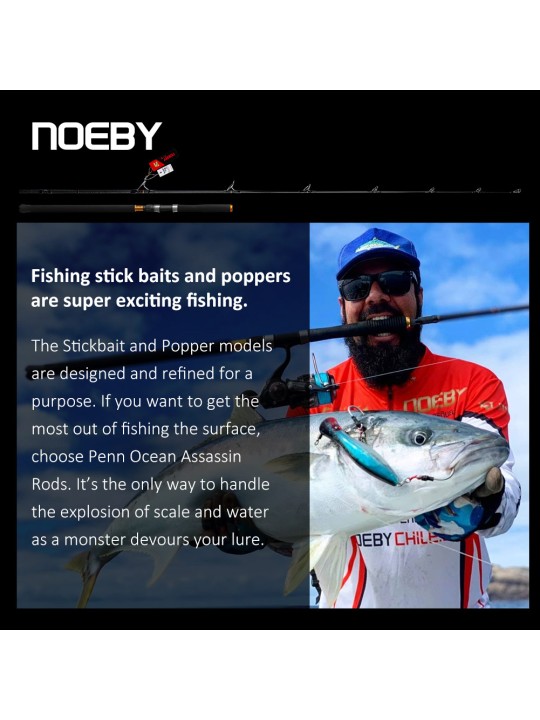 Caña Noeby Infinite Ocean Popping Boat Spinning