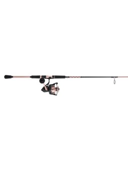 Combo Penn Passion II Spinning 5 + 1 Balineras