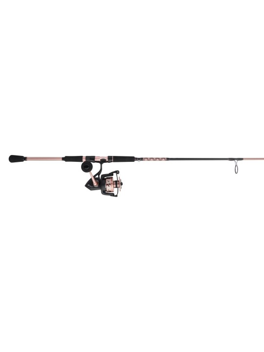 Combo Penn Passion II Spinning 5 + 1 Balineras