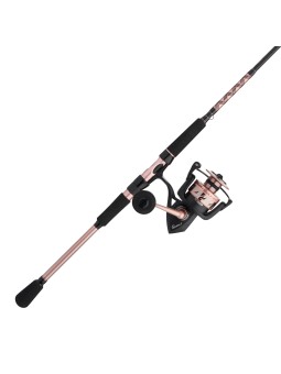 Combo Penn Passion II Spinning 5 + 1 Balineras