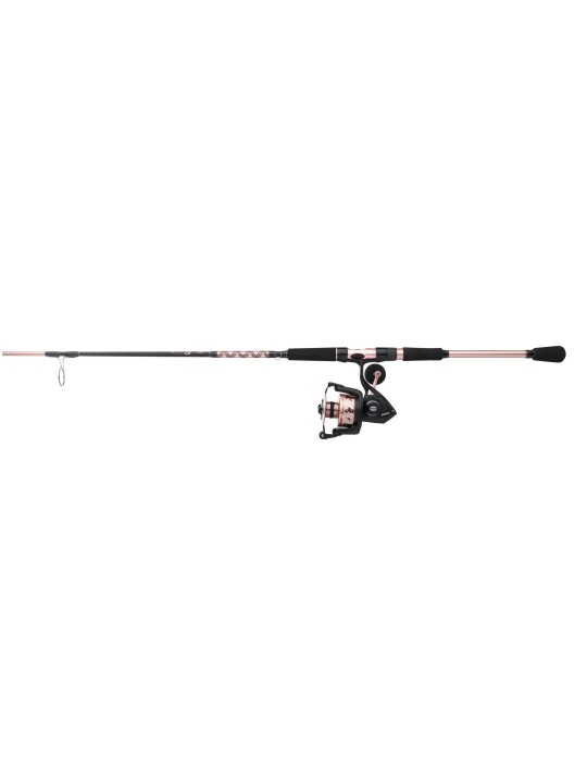 Combo Penn Passion II Spinning 5 + 1 Balineras