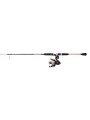 Combo Penn Passion II Spinning 5 + 1 Balineras