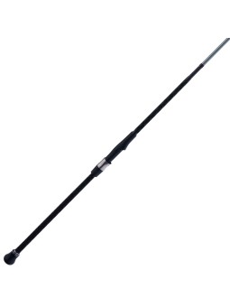 Caña Penn Prevail III Surf Spinning