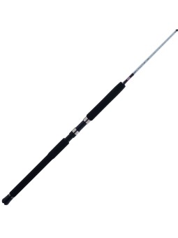 Caña Penn Prevail III Surf Spinning