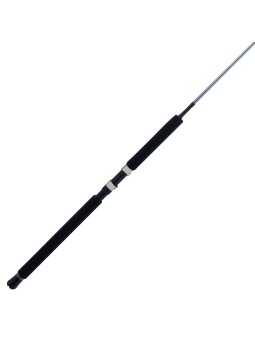 Caña Penn Prevail III Surf Spinning