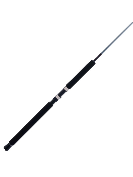 Caña Penn Prevail III Surf Spinning