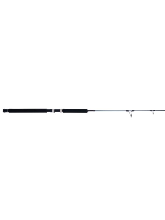 Caña Penn Prevail III Surf Spinning