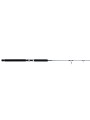 Caña Penn Prevail III Surf Spinning
