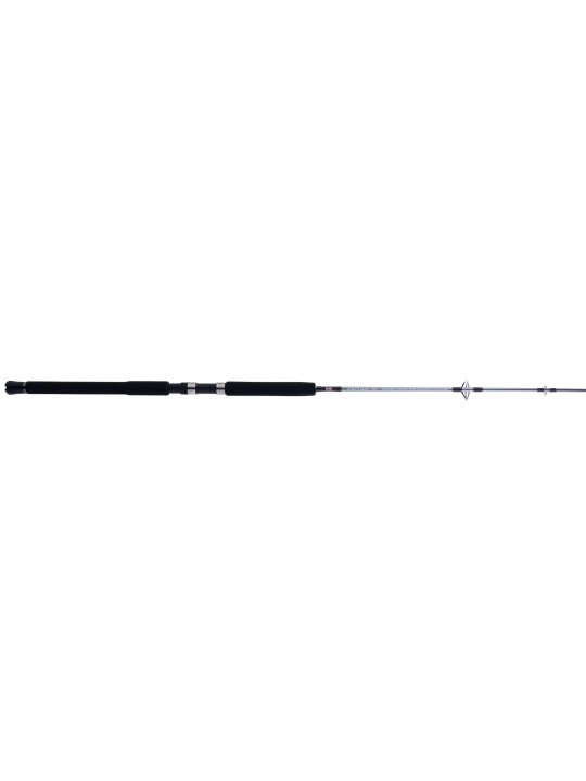 Caña Penn Prevail III Jig Spinning
