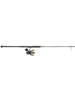 Combo Penn Battle IV Spinning 5+1 Balineras