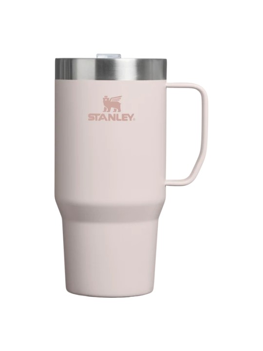 Stanley Everyday Suburban Mug