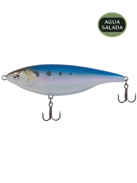 American Shad American Shad