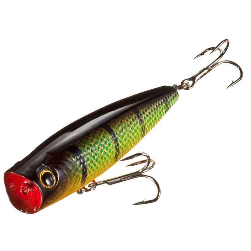 Popper Bass Pro Shops Tourney Special