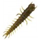 Bass Pro Shops Hellgrammite - Larva 8cm Paqx15