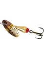 Gold Brown Trout