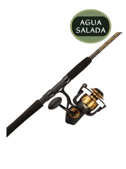 Combo Penn Spinfisher VI