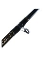 Caña Casting Daiwa Aird-X