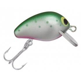 Rainbow Trout