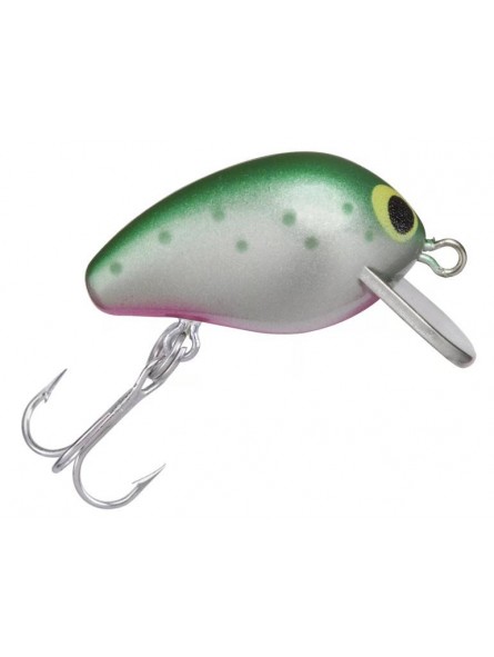 Rainbow Trout