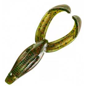 Rana YUM Tip Toad  Frog PAQx5