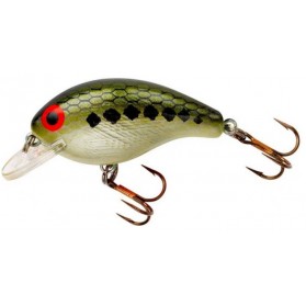 Bass